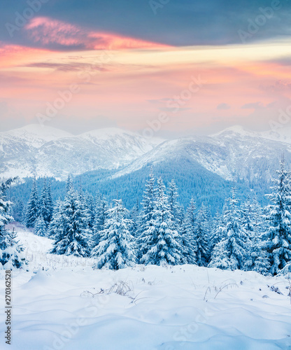 Beautiful winter sunrise in the Carpathian mountains. © Andrew Mayovskyy