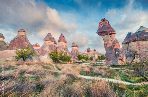 Impressive fungous forms of sandstone in the canyon near Cavusin village, Cappadocia, Nevsehir Province in the Central Anatolia Region of Turkey, Asia. Beauty of nature concept background.
