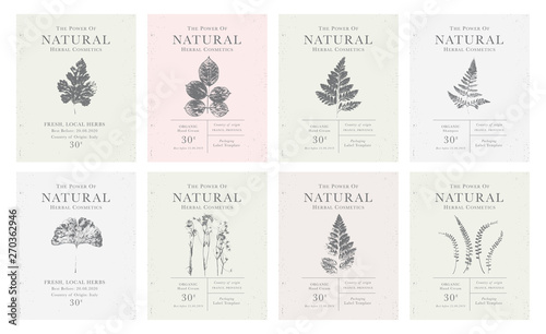 Set of customizable vintage label of Natural organic herbal products. photo