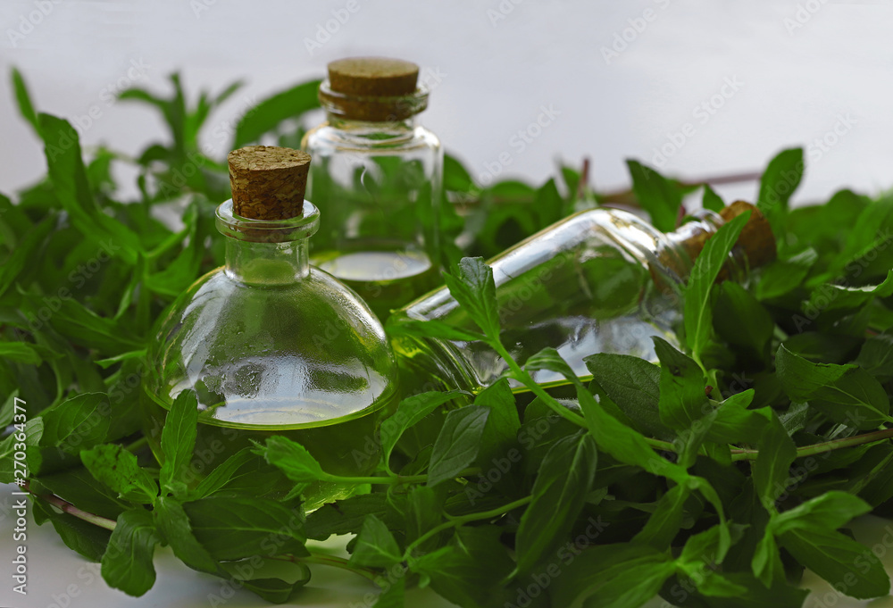 TÜRKÇE Taze naneler ve şişe içerisinde nane yağları. 45 / 10000 İNGİLİZCE Çeviri yap:GoogleBing Fresh mint and peppermint oil in the bottle. TÜRKÇE Taze naneler ve şişe içerisinde nane yağları. 45 / 10000 İNGİLİZCE Çeviri yap:GoogleBing Fresh mint and peppermint oil in the bottle.