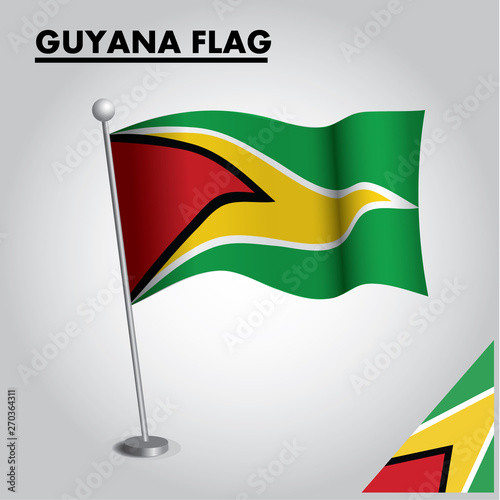 GUYANA flag icon National flag of GUYANA on a pole