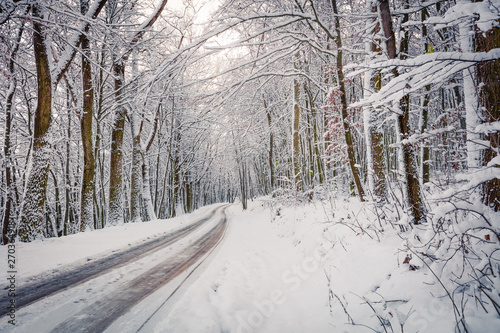 Empty country road in the snowy forest. Beautiful winter scene with trees covered snow. Traveling concept background. photo