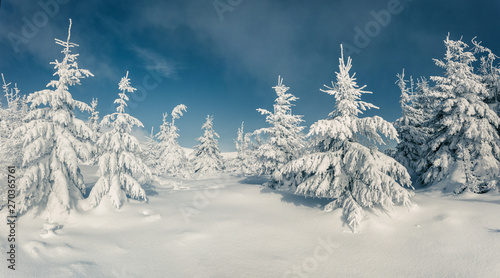 Frosty winter morning in mountain forest with snow covered fir trees. Splendid outdoor scene, Happy New Year celebration concept. Artistic style post processed photo. © Andrew Mayovskyy