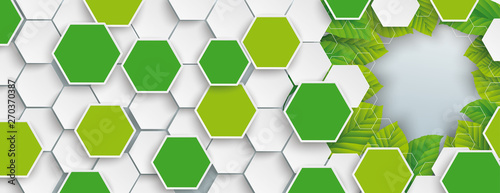 Colored Hexagon Structure Green Leaves Header