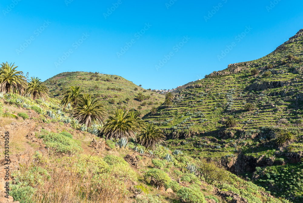 The hill country of La Gomera. On the hiking trail from the village El Cercado down the Argaga ravine to the Valle Gran Rey 
