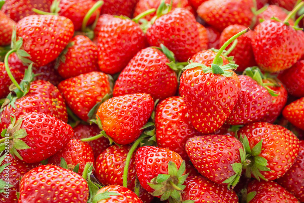 Fresh organic red ripe Strawberry fruit background closeup Fresh organic red ripe Strawberry fruit background closeup
