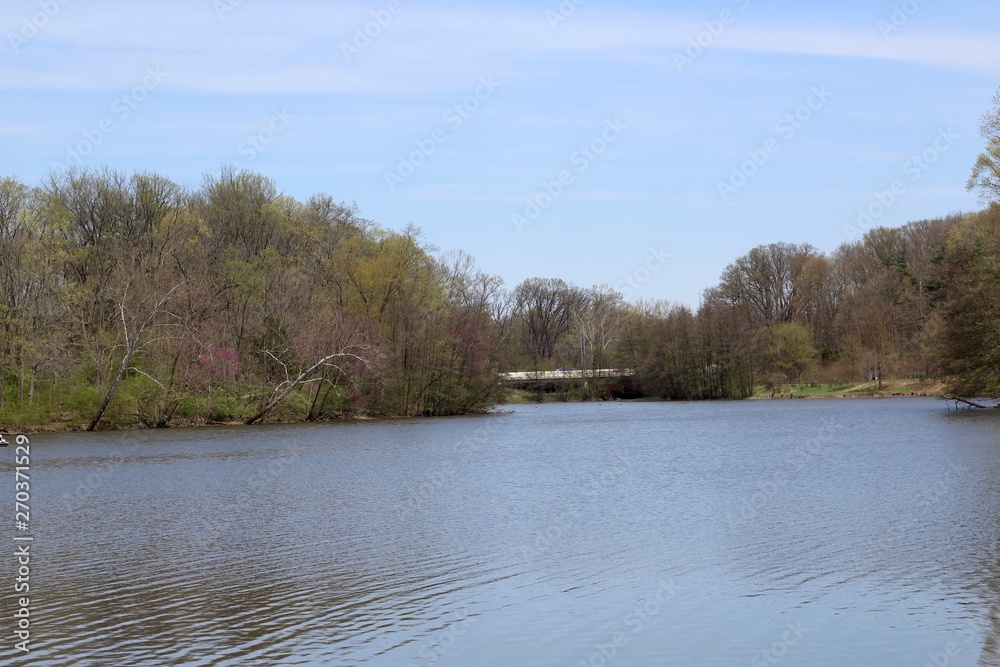 A beautiful view of the lake on a sunny spring day A beautiful view of the lake on a sunny spring day