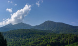 Summer in the mountains. The mountain slopes are covered with greenery. A cloud is emerging from behind the mountains.