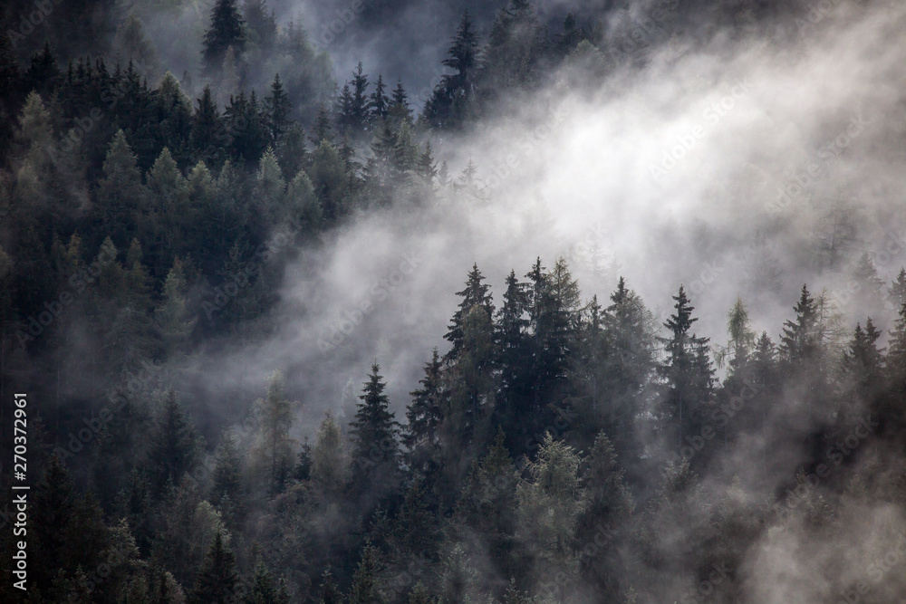 Dense morning fog in alpine landscape