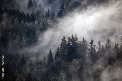 Dense morning fog in alpine landscape
