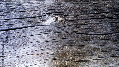 Detail of dry tree trunk with knots and cracks