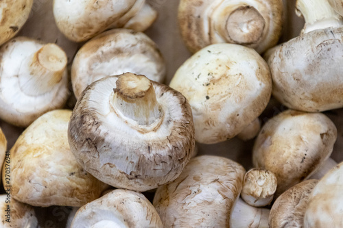Background of whole champignons mushrooms for sale at farmers market in close-up.