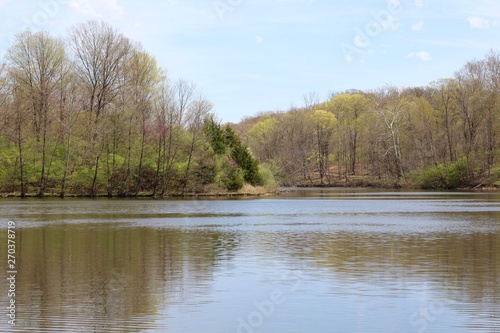 A beautiful view of the calm park lake on a sunny day.