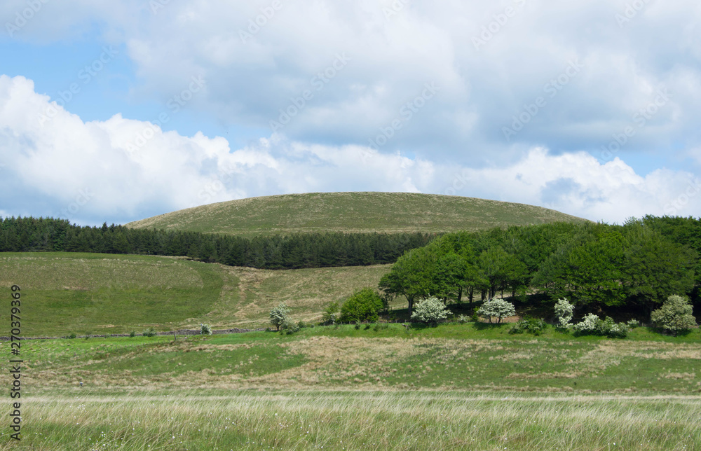 Obraz premium green hill