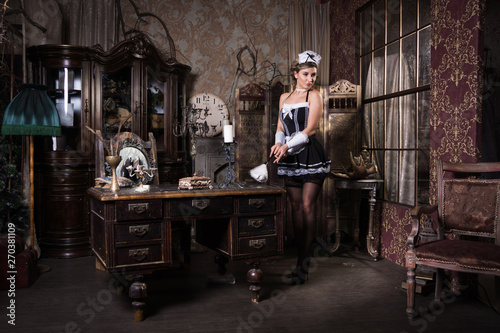 Photography Young sexy chambermaid with duster. Pin up housework. ..