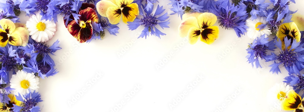 Obraz premium banner blue flowers cornflowers and pansy flowers pattern frame, border on white background. top view. copy space