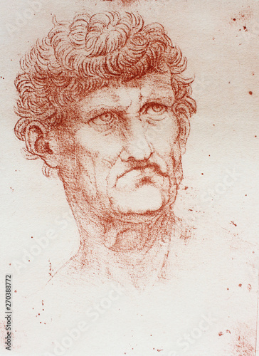 Photo The Head of old man by Leonardo Da Vinci in the vintage book Disegni di Leonardo by L