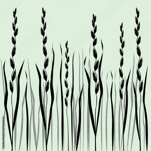  A silhouette vector drawing af wild lolium grass photo
