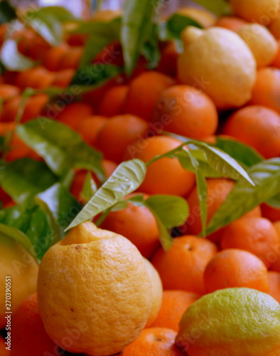 Zitronen und Mandarinen vom Markt