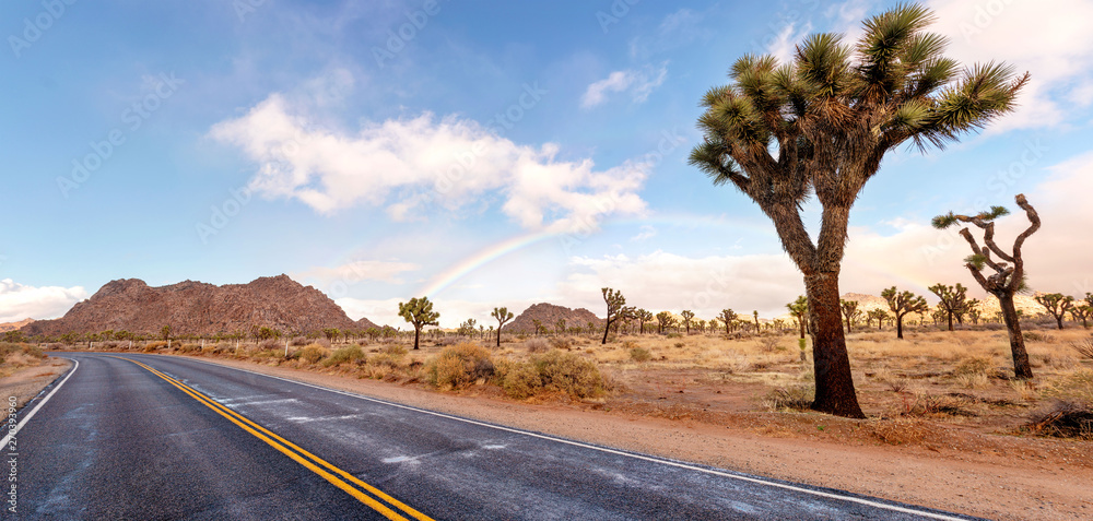 Dessert road with Joshua trees and fantastic landscape around. California, USA. - obrazy, fototapety, plakaty 