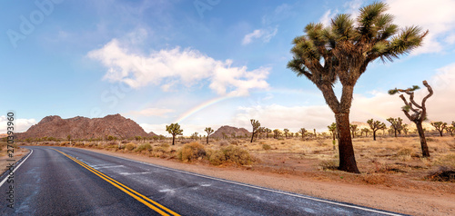 Dessert road with Joshua trees and fantastic landscape around. California, USA.