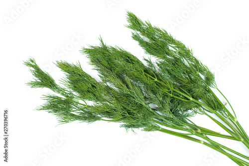 Fresh green dill twig on white background