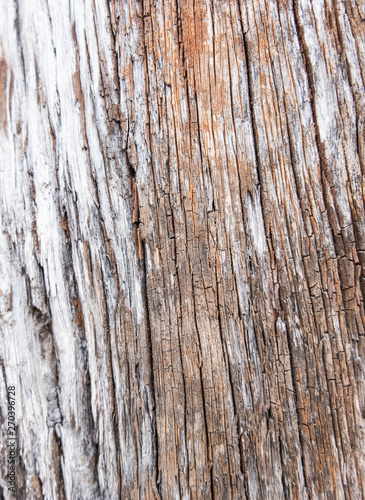 Old wood for the background or old gray wood surface Antique or furniture surface Corroded surfaces over time Wood more than a hundred years old Old wooden background closer.