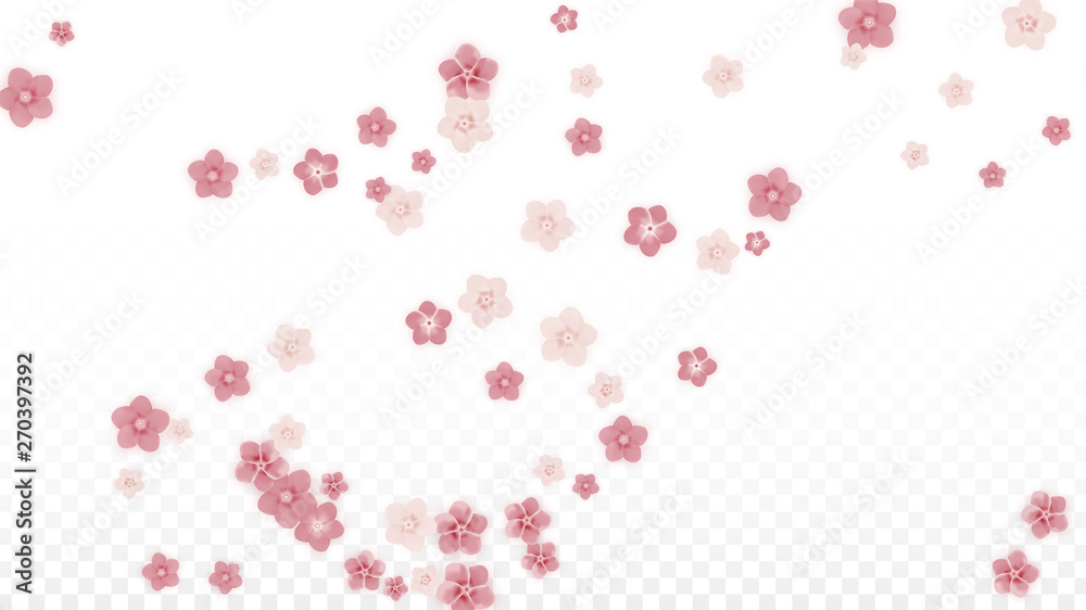 Vector Realistic Pink Flowers Falling on Transparent Background.  Spring Romantic Flowers Illustration. Flying Petals. Sakura Spa Design. Blossom Confetti. Design Elements for Wedding Decoration.