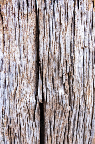 Old wood for the background or old gray wood surface Antique or furniture surface Corroded surfaces over time Wood more than a hundred years old Old wooden background closer.