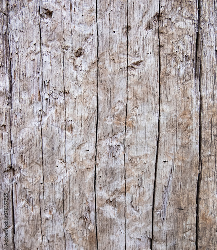 Old wood for the background or old gray wood surface Antique or furniture surface Corroded surfaces over time Wood more than a hundred years old Old wooden background closer.