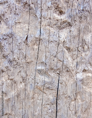Old wood for the background or old gray wood surface Antique or furniture surface Corroded surfaces over time Wood more than a hundred years old Old wooden background closer.