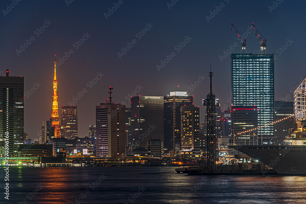 Obraz premium Tokyo tower