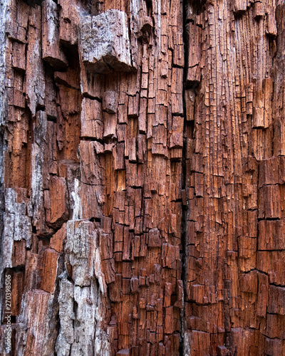 Old wood for the background or old gray wood surface Antique or furniture surface Corroded surfaces over time Wood more than a hundred years old Old wooden background closer.