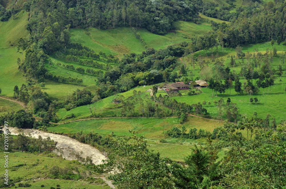 Paisaje reural del Quindío en Colombia Paisaje reural del Quindío en Colombia