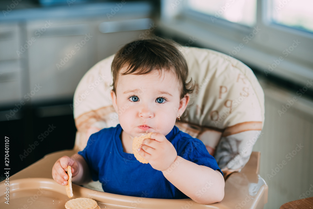 Little girl in a high chair eating round biscuits Little girl in a high chair eating round biscuits