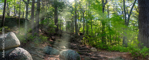 Foto A hiking trail at Purgatory Chasm State Reservation in Sutton Massachusetts