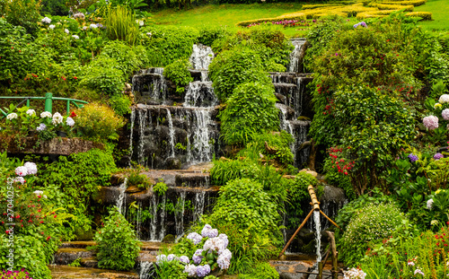 Water fall in garden  Concepts of forests, streams, waterfalls and scenery