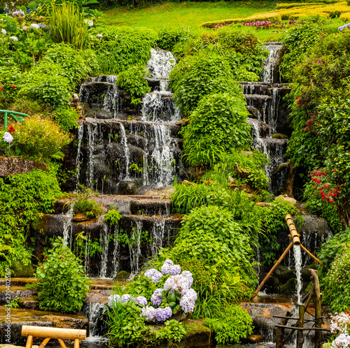 Water fall in garden  Concepts of forests, streams, waterfalls and scenery