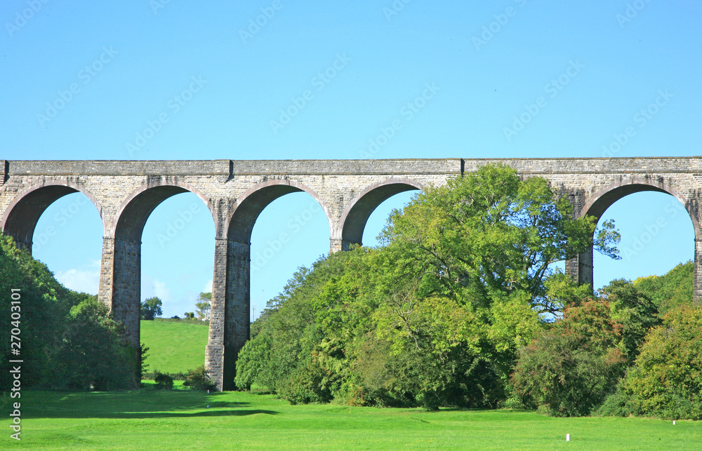 Fototapeta premium viaduct in landscape