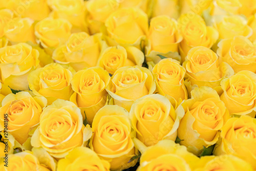 Fresh yellow roses background. A huge bouquet of flowers. The best gift for women