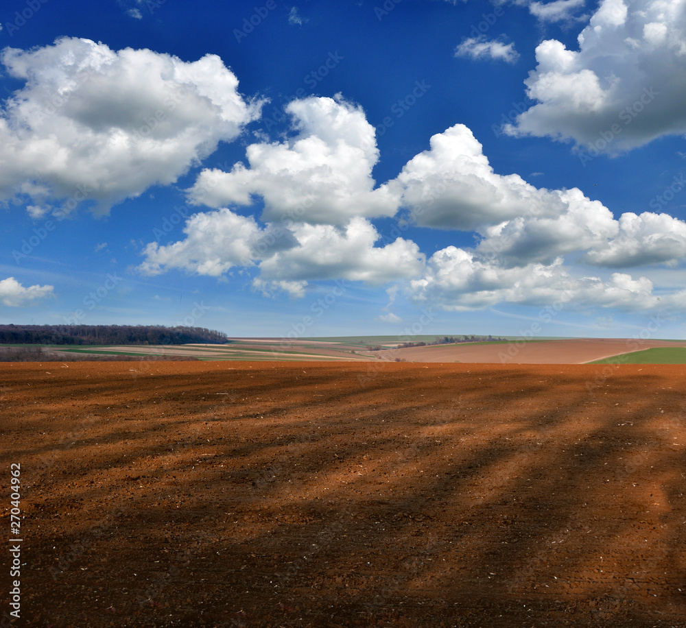 arable with shaded trees and an agrarian landscape of the springtime arable with shaded trees and an agrarian landscape of the springtime