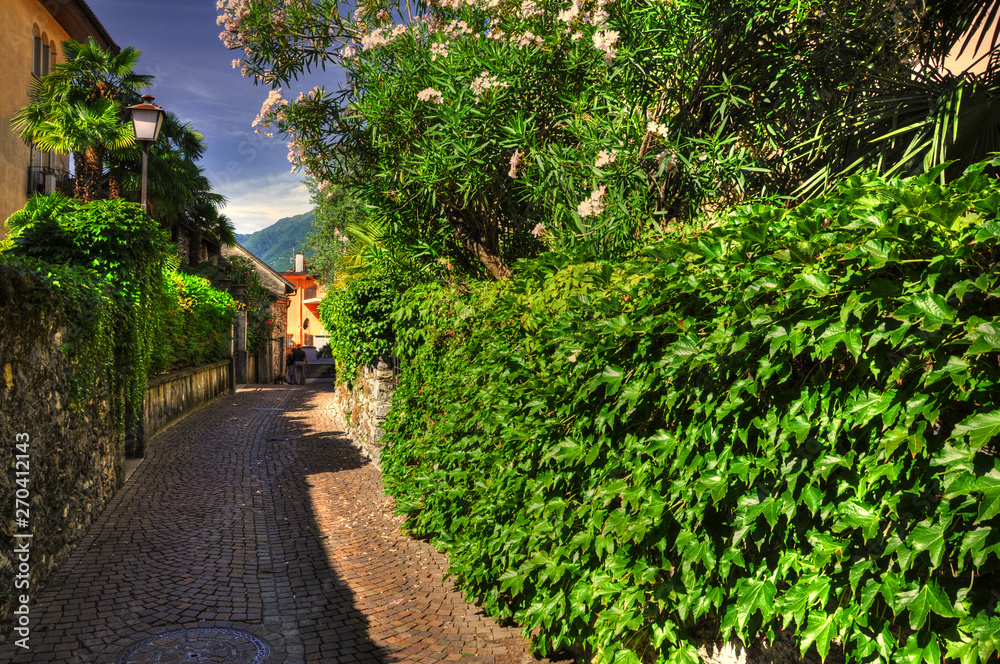 Narrow Street with Green Plants in Ascona, Switzerland.