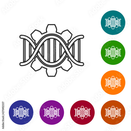 Grey Genetic engineering line icon isolated on white background. DNA analysis, genetics testing, cloning, paternity testing. Set icon in color circle buttons. Vector Illustration