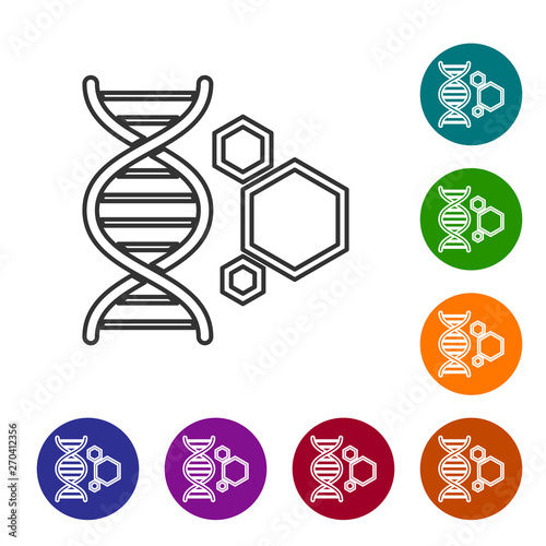 Grey Genetic engineering line icon isolated on white background. DNA analysis, genetics testing, cloning, paternity testing. Set icon in color circle buttons. Vector Illustration