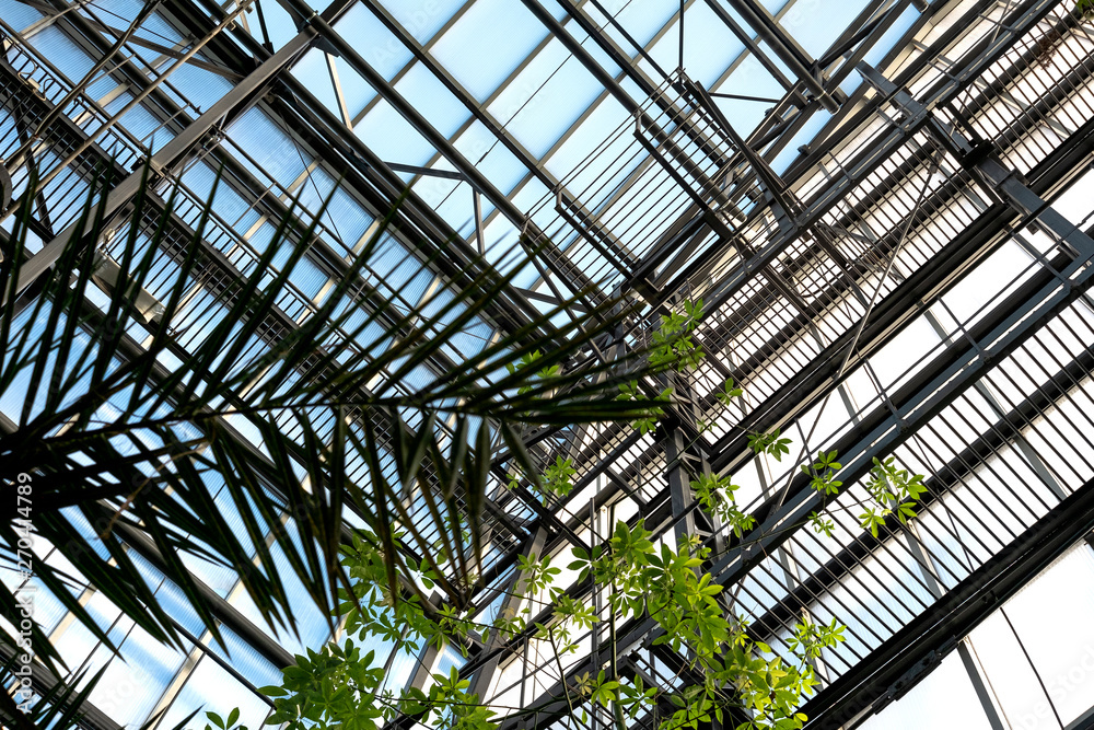 Building frame in the botanical garden