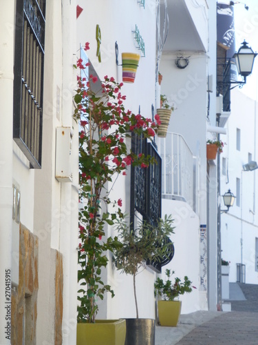 Fototapeta Naklejka Na Ścianę i Meble -  Mojacar, beautiful white town of Almeria. Andalucia,Spain