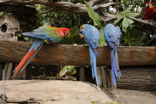 Canaima Venezuela photo