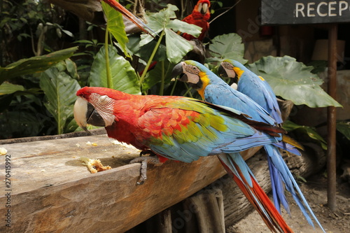 Canaima Venezuela photo