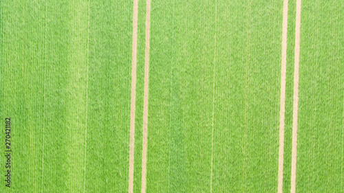 Abstract aerial photograph of two parallel furrows