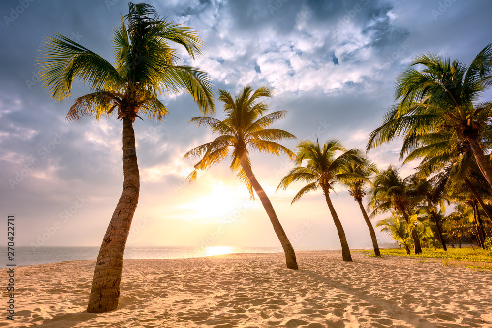 Coconut palm trees against colorful sunset - obrazy, fototapety, plakaty 